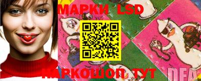 гашик Ирбит