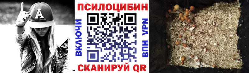 Галлюциногенные грибы Psilocybe  хочу наркоту  Набережные Челны 