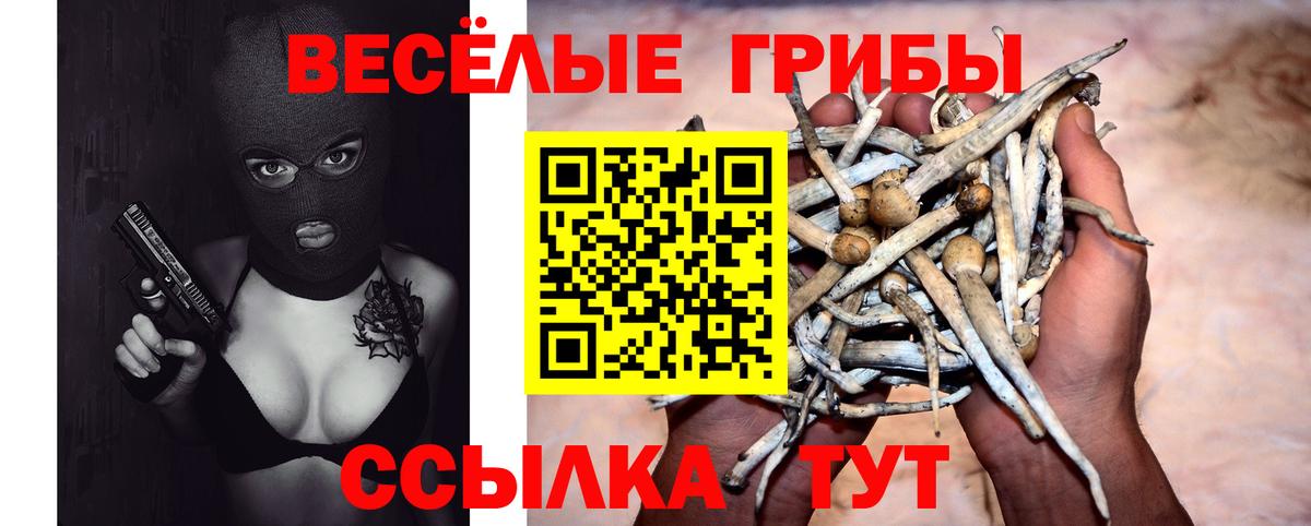 Галлюциногенные грибы Psilocybe  Вход с VPN  Набережные Челны  Псилоцибиновые грибы ЛСД 