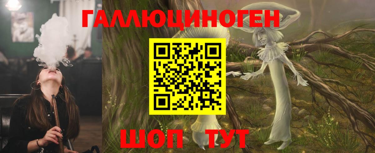 Галлюциногенные грибы Psilocybe Набережные Челны